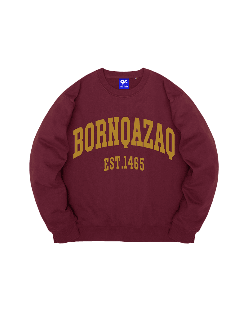 ДЕТСКИЙ СВИТШОТ BQ FW25 БОРДОВЫЙ